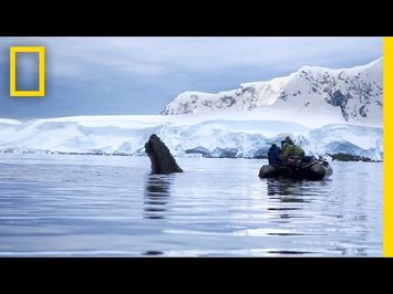 Trailer | Continent 7: Antarctica