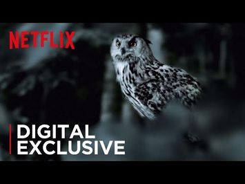 The Staircase | The Owl Theory | Netflix