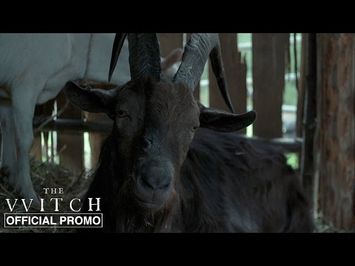 Black Phillip - Official Promo