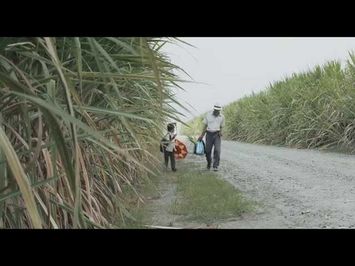 Trailer oficial - LA TIERRA Y LA SOMBRA de César Acevedo - ESTRENO EL 23 DE JULIO EN CINES