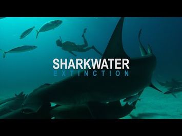 Sharkwater: Extinction – Video Teaser