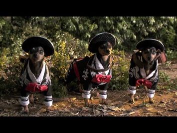 Beverly Hills Chihuahua 3 Trailer #1