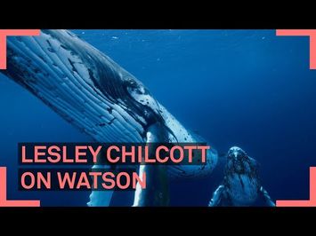 Lesley Chilcott on WATSON | ZFF Daily 2019 am Zurich Film Festival