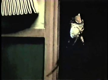 Mimic 2 (2001) Teaser 2 (VHS Capture)