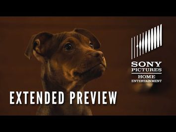 A DOG'S WAY HOME: Extended Preview - Now on Digital! On Blu-ray 4/9