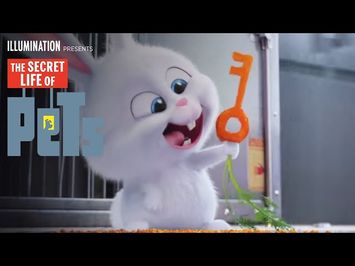 The Secret Life of Pets - Kevin Hart Is Snowball (HD) - Illumination