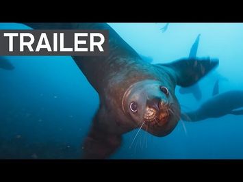 Blue Planet II Official Trailer 2 | BBC Earth