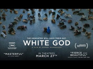 White God - Official Trailer