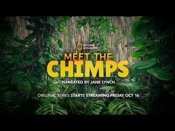 Meet the Chimps | Trailer