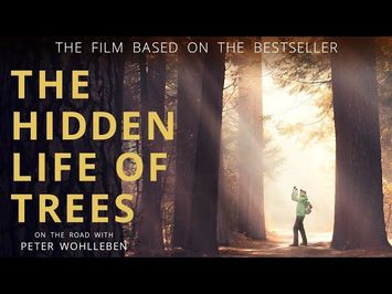 The Hidden Life of Trees - Official Movie Trailer (2021)