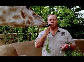 Zookeeper - Official Trailer 2011 (HD)