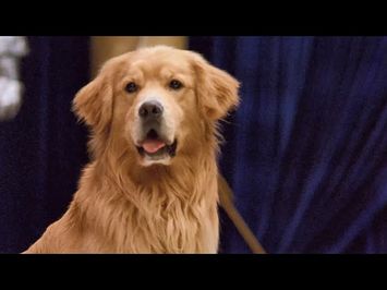 Air Bud 5: Spikes Back (2003) ORIGINAL TRAILER [HD]