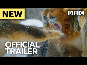 Seven Worlds, One Planet: Trailer - BBC