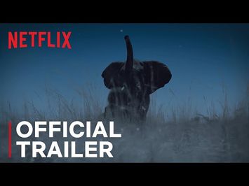 Night on Earth | Official Trailer | Netflix