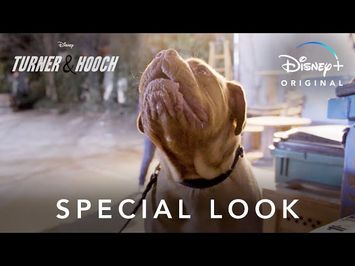 Special Look | Turner & Hooch | Disney+