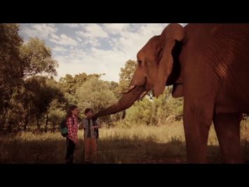 Against the Wild 2 Survive the Serengeti (2016) trailer