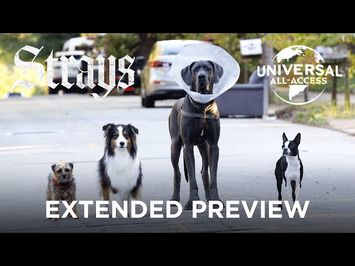 The Worst Dog Owner Does Indeed Exist Extended Preview