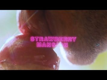 STRAWBERRY MANSION | Exclusive Clip #1 (Ice Cream Cone) | In Theaters February 18