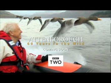 Attenborough: 60 Years in the Wild - Trailer - BBC Two