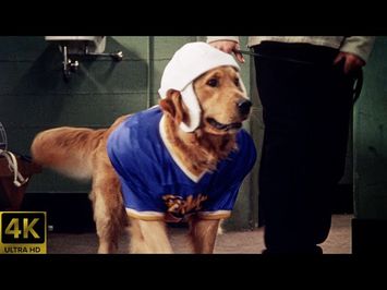 Air Bud Golden Receiver (1998) Theatrical Trailer [4K] [5.1] [FTD-1022]