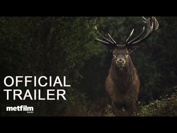 Official Trailer [Subtitled]