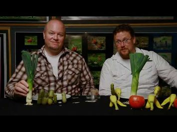 Cloudy With A Chance Of Meatballs 2 - Making Foodimals with Kris Pearn and Cody Cameron