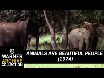 Animals Are Beautiful People (Original Theatrical Trailer)