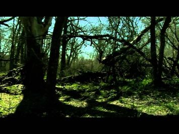 THE WOODSMAN TRAILER