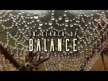 In Search of Balance - Official Trailer