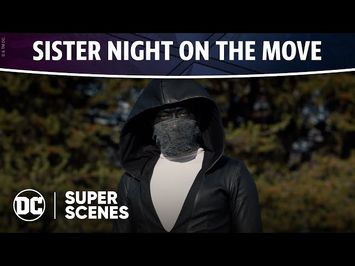 DC Super Scenes: Sister Night